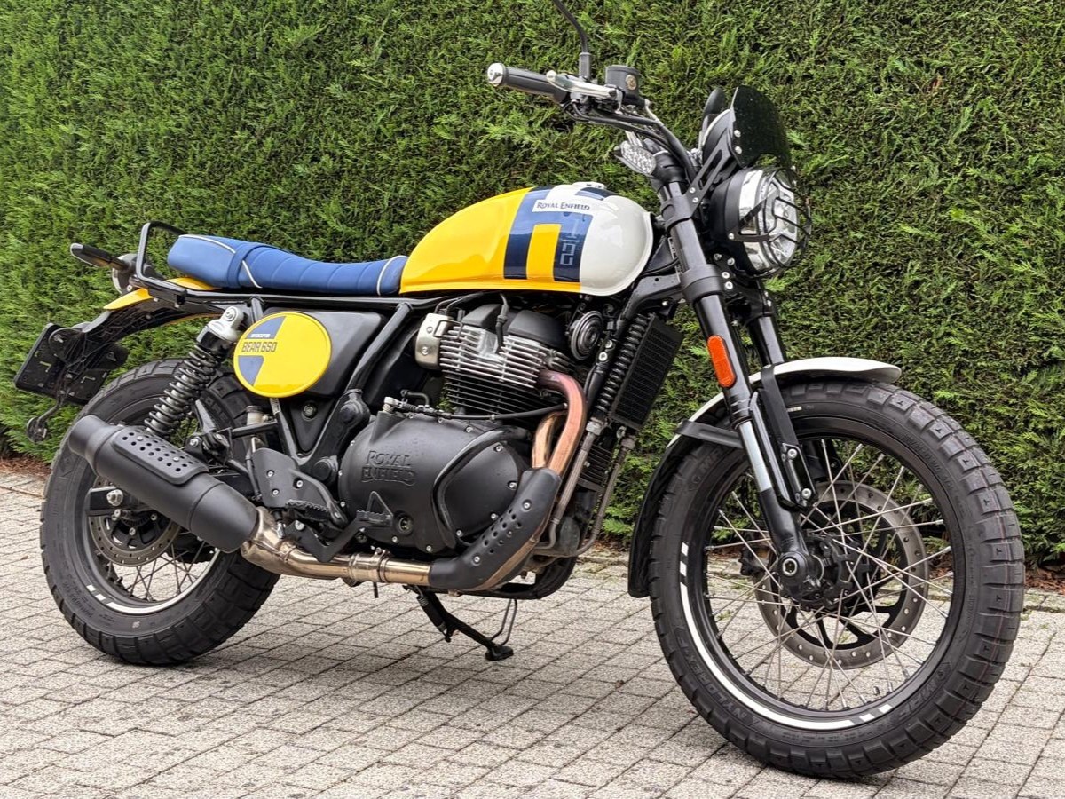 Occasie Royal Enfield Bear 650 Wild Honey